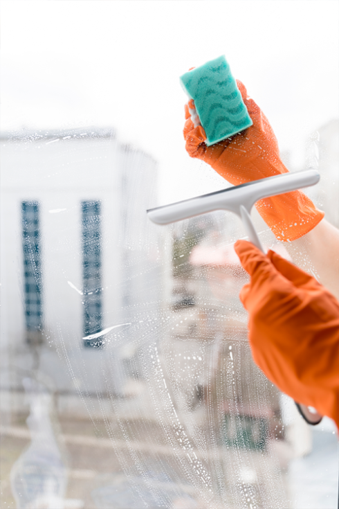 windows-cleaning-springfield-100 windows-cleaning-springfield-100